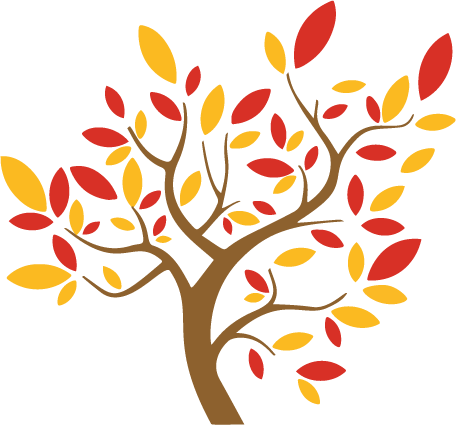 Maple Tree