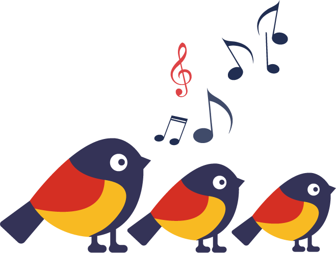 Birds